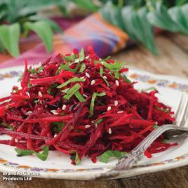 Beetroot Detroit 2 Bolivar - Organic Seeds