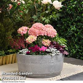 Garden Gear - Caesar Marble Effect Bowl Planter