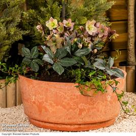 Caesar Marble Effect Terracotta Bowl Planters