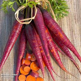 Carrot Cosmic Purple (Maincrop) - Organic Seeds