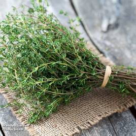 Thyme