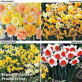 Narcissus Ultimate Collection