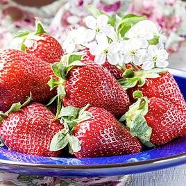 Strawberry Korona (Early to Mid Season)