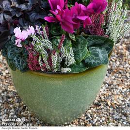 Garden Gear - Sage Green Bell Glazed Planter