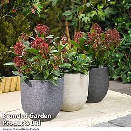 Garden Gear - Stone Effect Planter