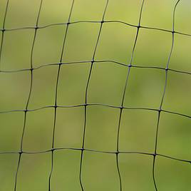 Butterfly Protection Netting