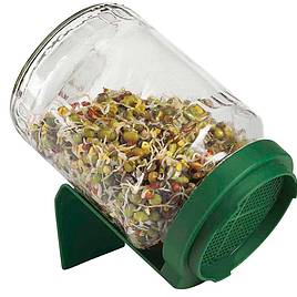 Germinator Sprouter Jar