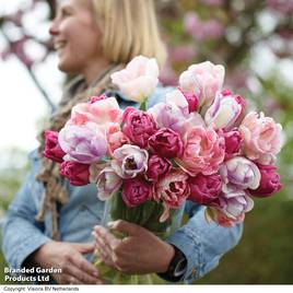 Tulip Florists Treat Mixed