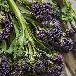 Broccoli Purple Sprouting Mix - Seeds
