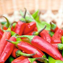 Chilli Pepper Jalapeno - Seeds