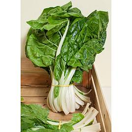 Chard Seeds - Barese