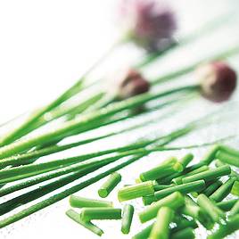 Chives