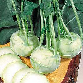 Kohlrabi Noriko - Organic Seeds
