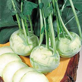 Kohlrabi (Organic) Seeds - Noriko