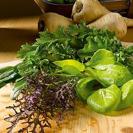 Leaf Salad Winter Mix - Seeds