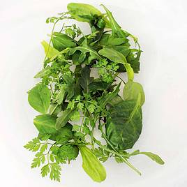 Leaf Salad Seeds - French