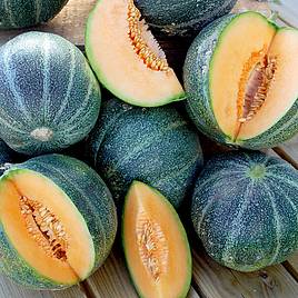 Melon Petit Gris de Rennes - Seeds