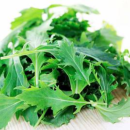 Leaf Salad Mizuna - Organic Seeds