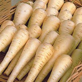Parsnip Albion F1 - Seeds