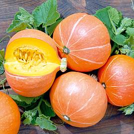 Pumpkin Justynka - Seeds