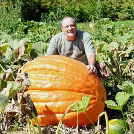 Pumpkin Atlantic Giant - Seeds