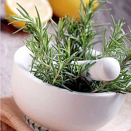 Rosemary Seeds