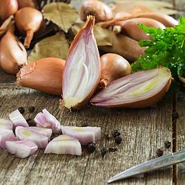 Shallot Simiane - Seeds