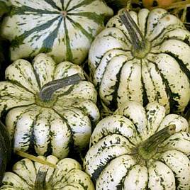 Squash & Pumpkin Sweet Dumpling - Organic Seeds
