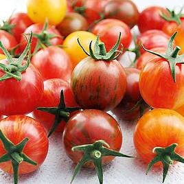 Tomato Artisan Bumble Bee Mix (Indeterminate) - Seeds