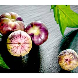 Tomatillo Purple - Organic Seeds