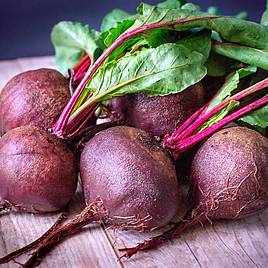 Beetroot Detroit 2 Bolivar (Organic) Seeds