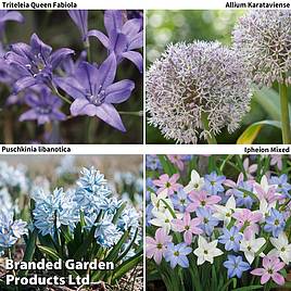 Spring Flowering Bulb Mix