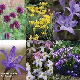 Fantastic Spring Flowering Mix