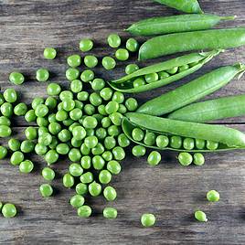 Pea Kelvedon Wonder - Organic Seeds