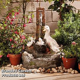 Serenity - Duck Fountain