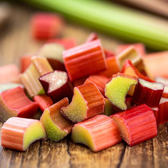 Rhubarb 'Champagne' (Spring/Autumn Planting)