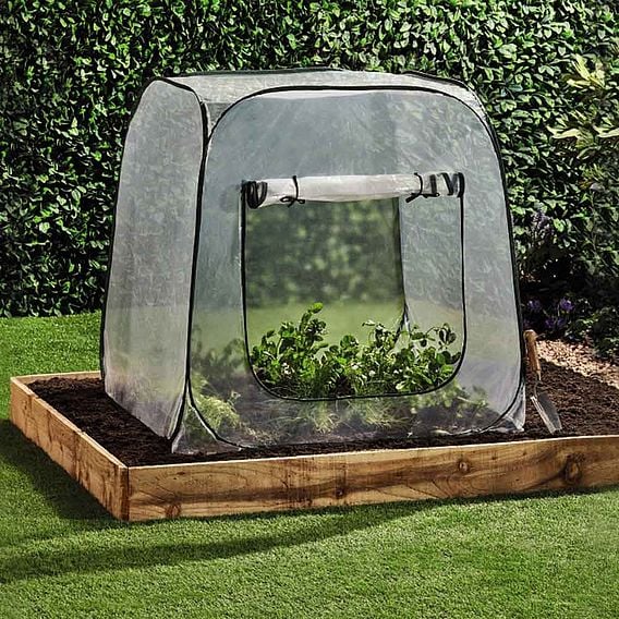 Garden Gear - Pop-Up Cloche
