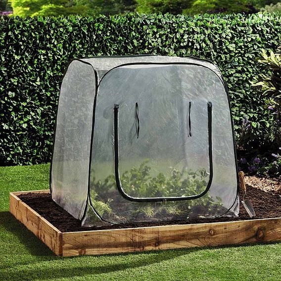 Garden Gear - Pop-Up Cloche