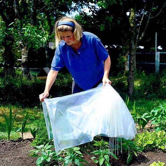 Easy Polytunnel