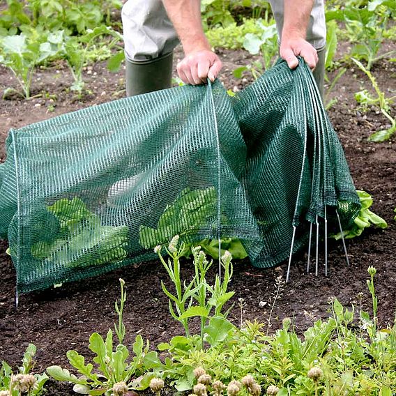 Easy Net Tunnel