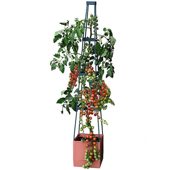 4 Tier Self Watering Tomato Tower
