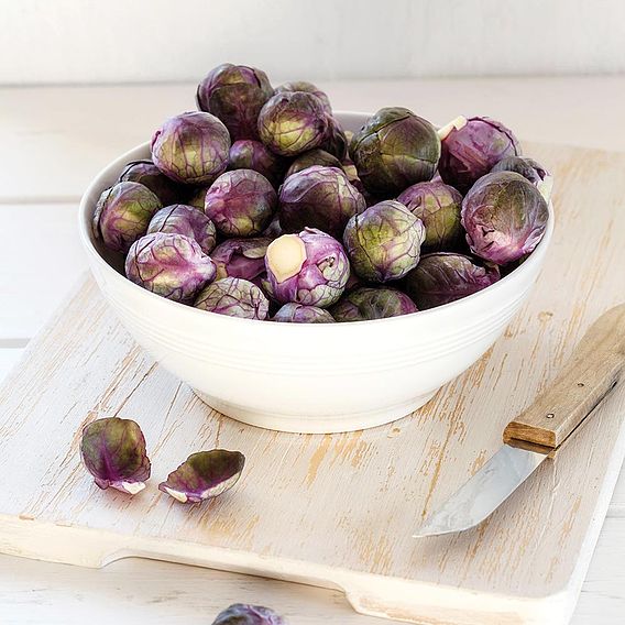 Brussels Sprouts Rubine (Organic) Seeds