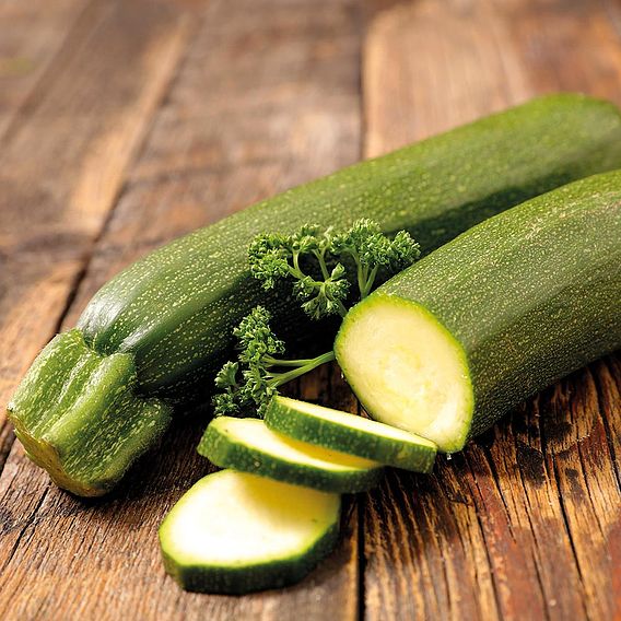Courgette Partenon F1 (Organic) Seeds