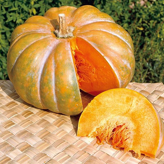 Squash & Pumpkin 'Moschata Muscade' - Organic Seeds