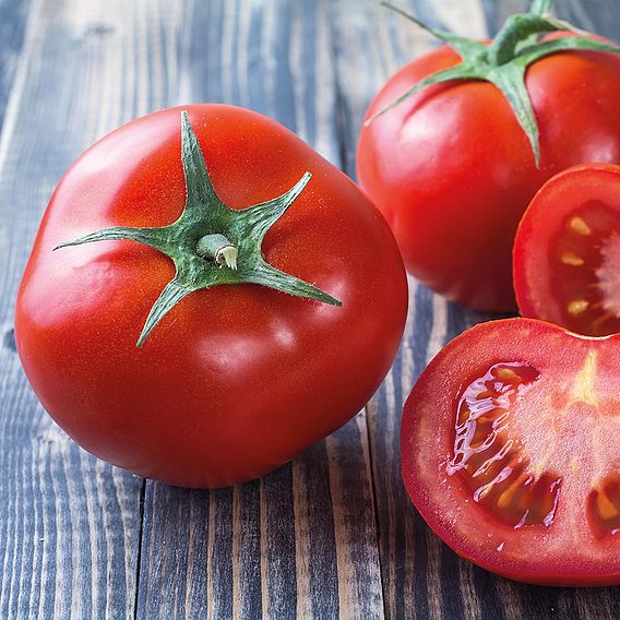 Tomato 'Bolstar Granda' (Indeterminate) - Organic Seeds