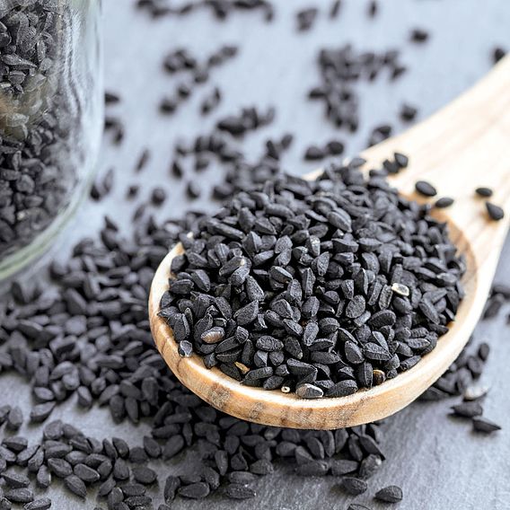 Black Cumin (Organic) Seeds