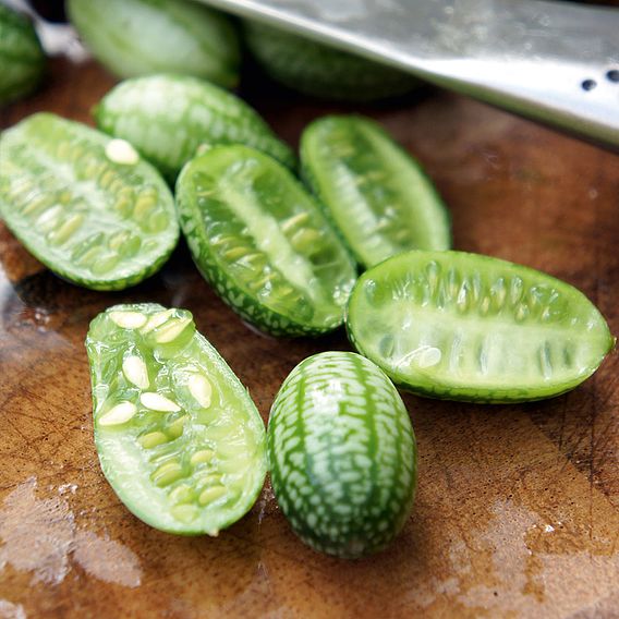 Cucamelon (Organic) Seeds