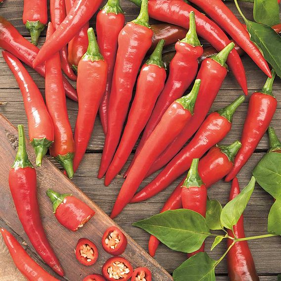 Chilli Pepper 'De Cayenne' - Organic Seeds