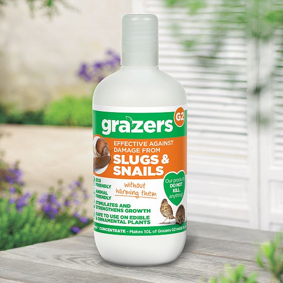 Grazers G2 Slug and Snail Repellent