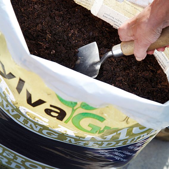 RHS SylvaGrow Organic Growing Medium (Peat Free)